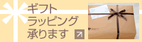 �M�t�g���b�s���O