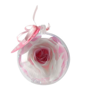 ���[�Y�J�v�Z�� �s���N