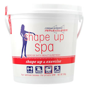 �V�F�C�v�A�b�v�X�p �i500g�j