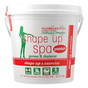 �V�F�C�v�A�b�v�X�p �v���~�A�� �i500g�j