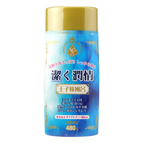 ���q�l���C �������� �i480g�{�g���j